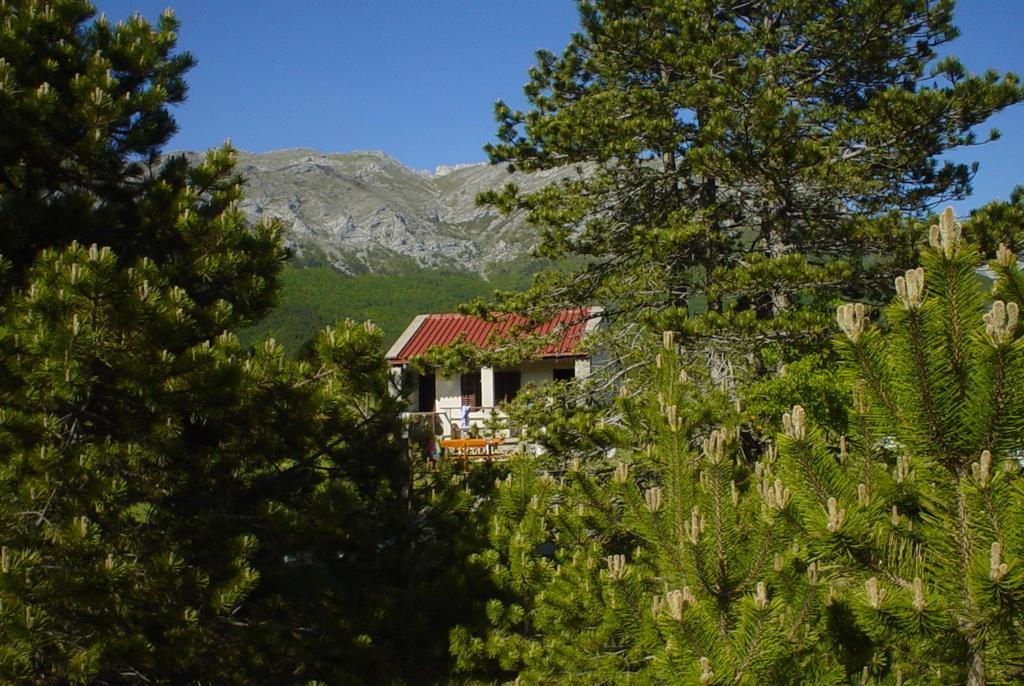 Apartments Europa Starigrad Paklenica Εξωτερικό φωτογραφία